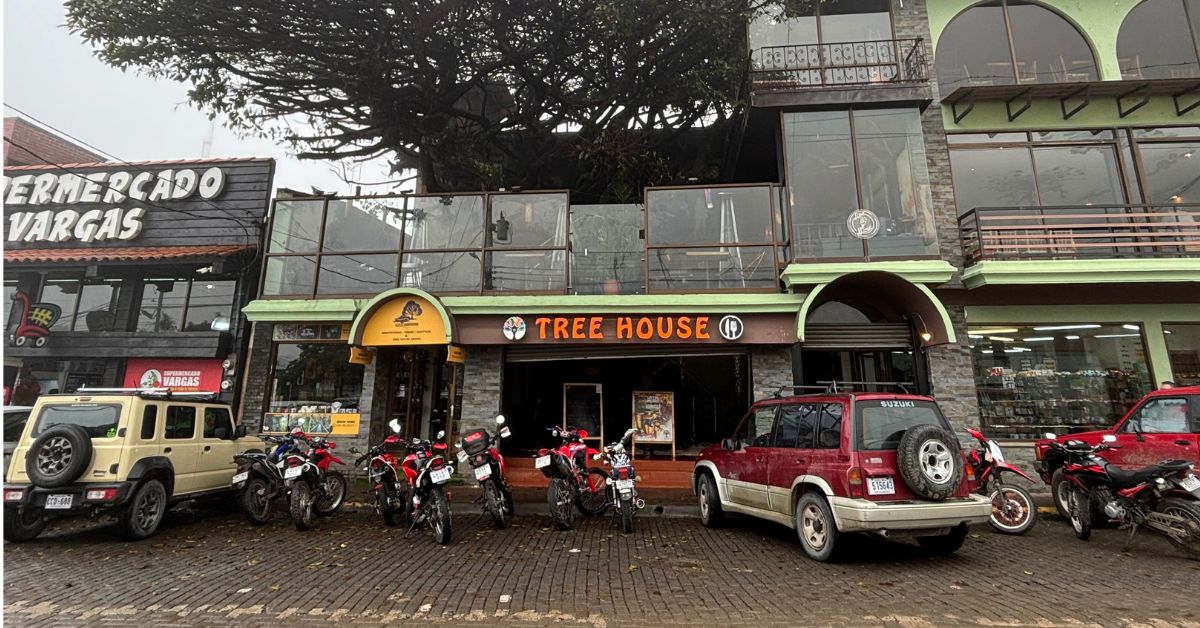 Restaurant called Treehouse which has a tree in the middle of it. Car and bikes are parked outside it. 