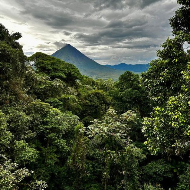 Rainforest with image of Arenal volcano in the background