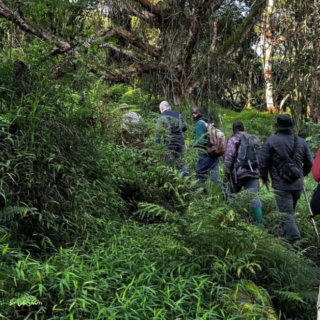 Group of people trekking .