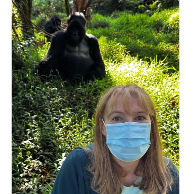 Woman with mountain gorillas wearing a mask.