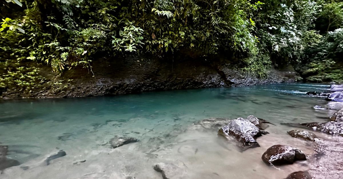 Pool of shallow water with rocks and trees either side