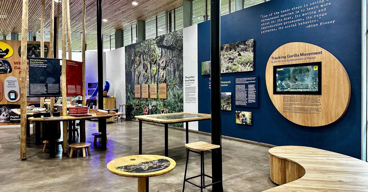Exhibition Hall inside Dian Fossey Ellen Centre, Rwanda.