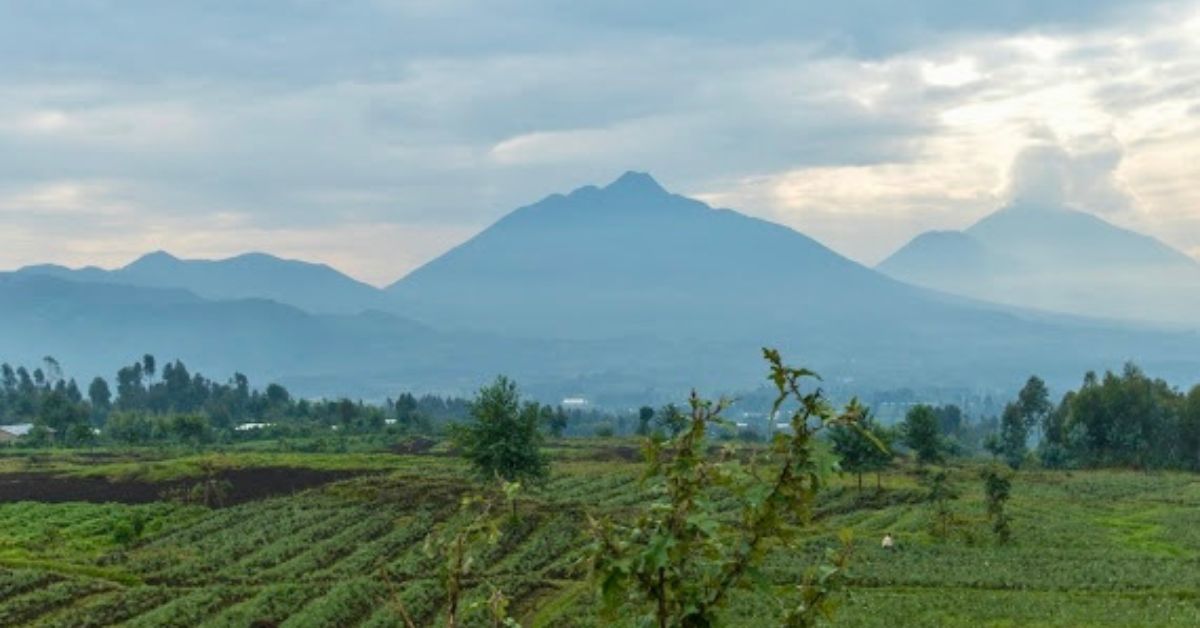 View of 3 volcanoes that act as borders between Rwanda, DRC and Uganda.