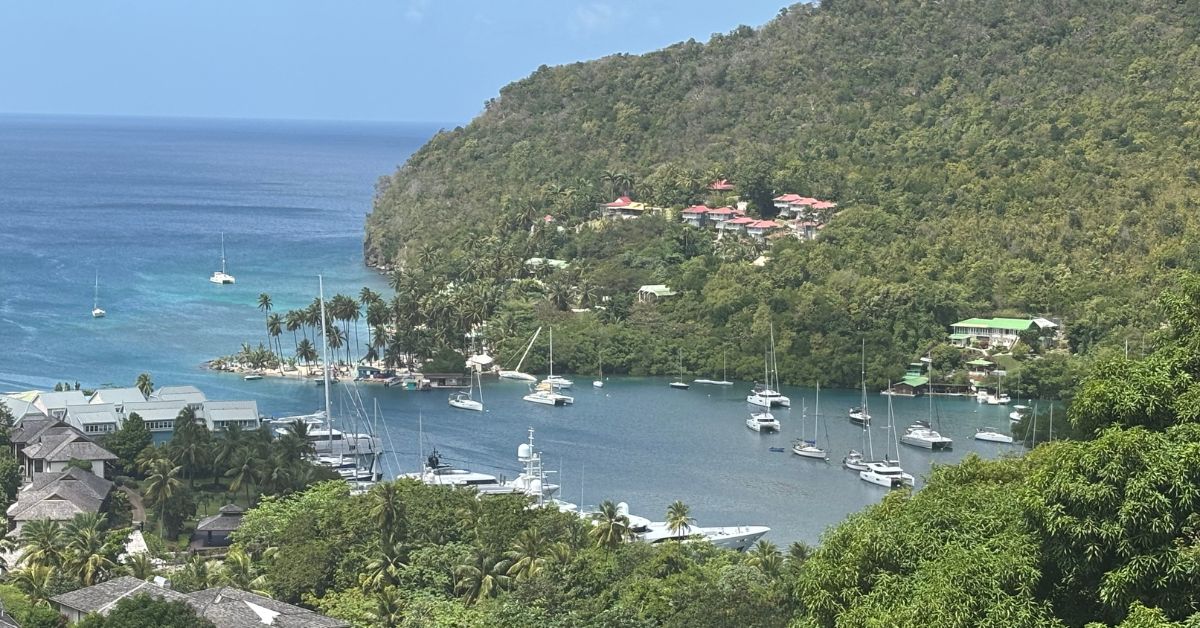 View of the bay shows lots of boats dotted around the harbour, Trees either side and small beach with palm trees