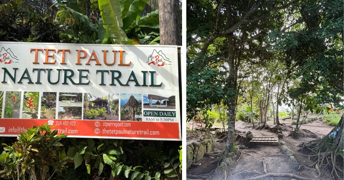 Information board about Tet Paul trail and image of one of the trail pathways which is uneven but flat with trees either side