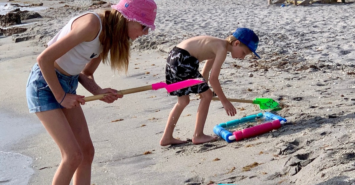Two children are looking for sharks teeth on a beach.