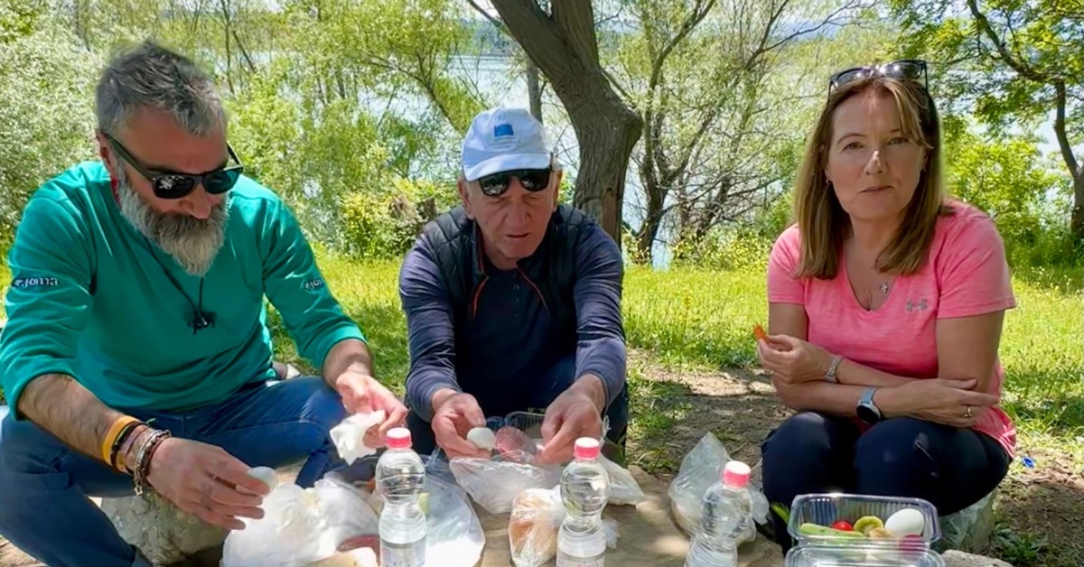 People enjoying a picnic in the outdoors with trees and grasses around.