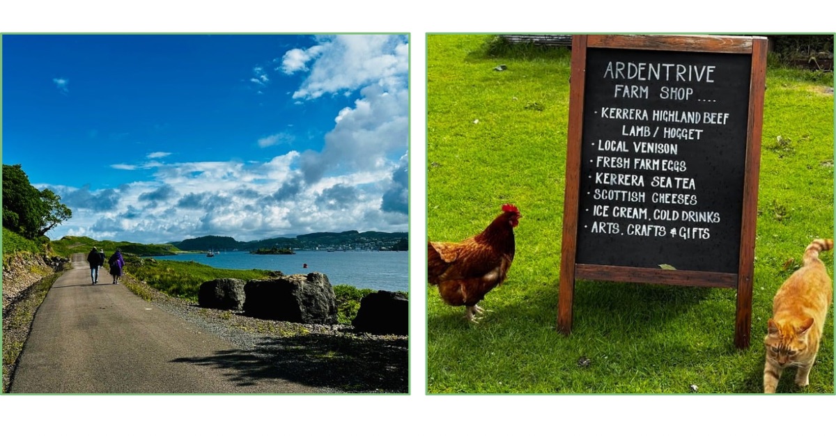 Walking path on Kererra Island and a sign advertising a farm shop on the island with a checked and cat next to it.